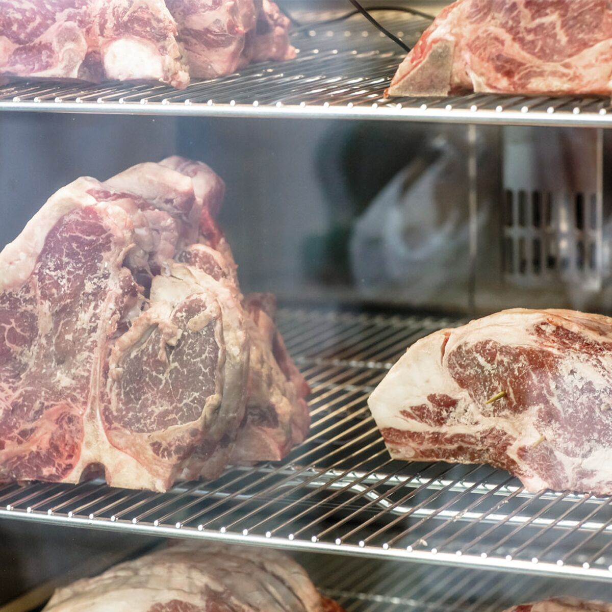 GGM Gastro FRSI13GS2 Dry Aging Komora za suho dozrijevanje mesa