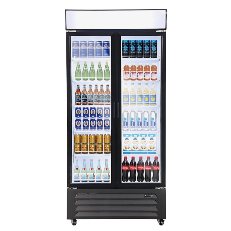 STARCREST SPS-2D590DC rashladna vitrina s dvostrukim vratima 590 L